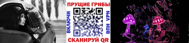 закладка  MEGA как войти  Галлюциногенные грибы мухоморы  Волосово 